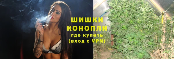 дмт Богородицк