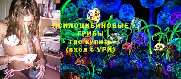 стаф Богородск