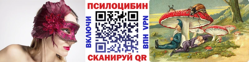 omg рабочий сайт Гремячинск сайты даркнета какой сайт Псилоцибиновые грибы GOLDEN TEACHER